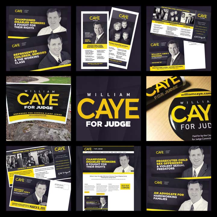 William Caye 2015 Campaign