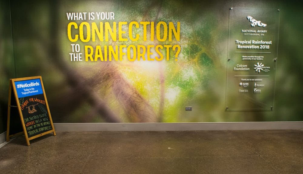 OCREATIONS COLLABORATES WITH THE NATIONAL AVIARY'S TROPICAL RAINFOREST RENOVATION