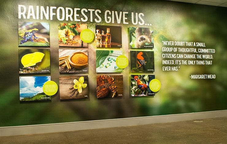 ocreations-pittsburgh-environmental-graphics-national-aviary-tropical-rainforest-01 environmental graphics National Aviary Tropical