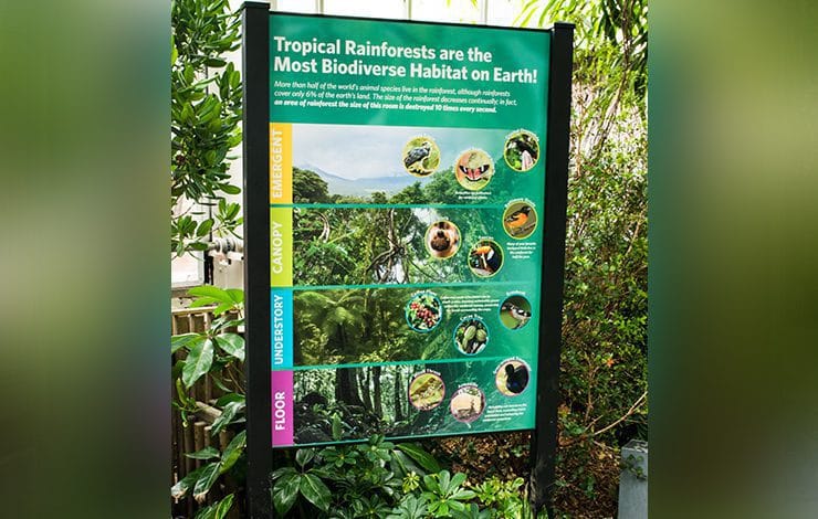 ocreations-pittsburgh-environmental-graphics-national-aviary-tropical-rainforest-04 National Aviary Tropical Rainforest