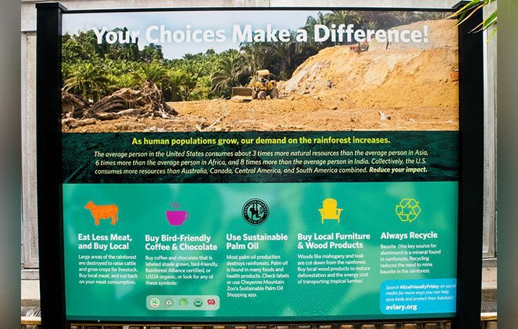 ocreations-pittsburgh-environmental-graphics-national-aviary-tropical-rainforest-05 National Aviary