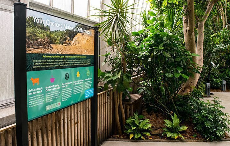 ocreations-pittsburgh-environmental-graphics-national-aviary-tropical-rainforest-06 National Aviary Tropical Rainforest Renovation