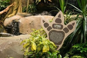 NATIONAL AVIARY