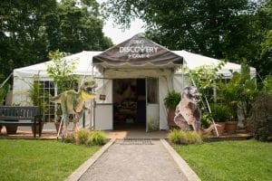 AVIARY SUMMER CAMPAIGN