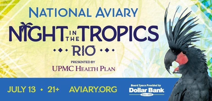 National Aviary NIT 2019 Digital Billboards